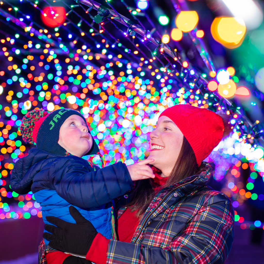 Seasonal Things To Do at Glenwood Caverns Adventure Park.