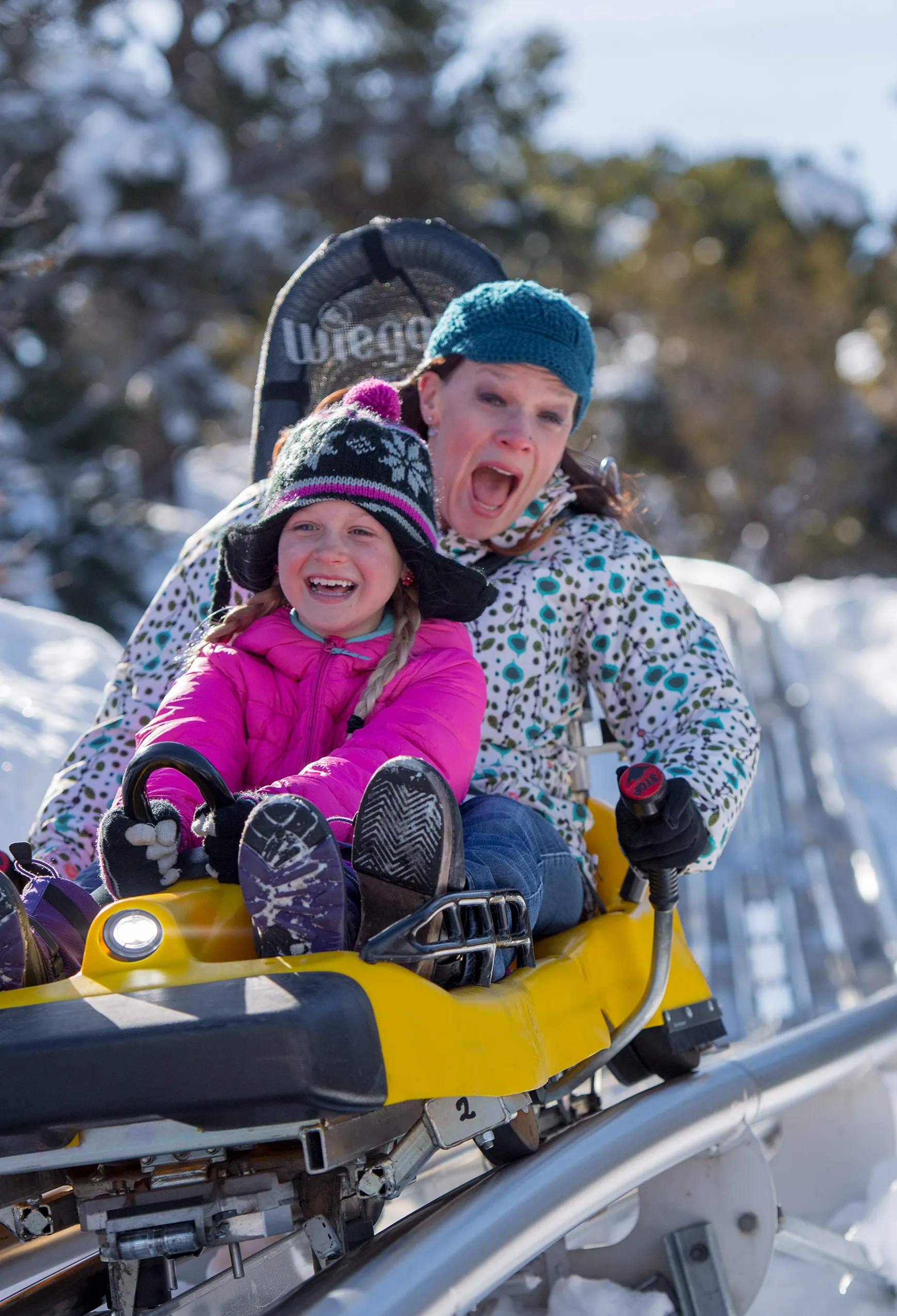 Mom and daughter ride the Alpine Coaster