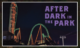 After Dark in the Park