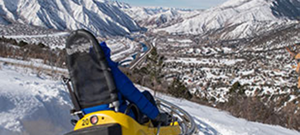 Alpine Coaster and Gondola Special